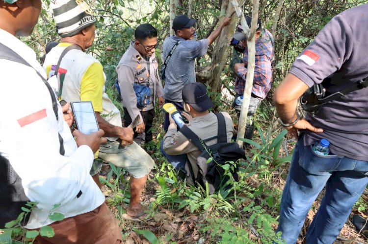 Kisi-Kisi Soal Petugas Ukur Kawasan Hutan Sesuai KemenpanRB