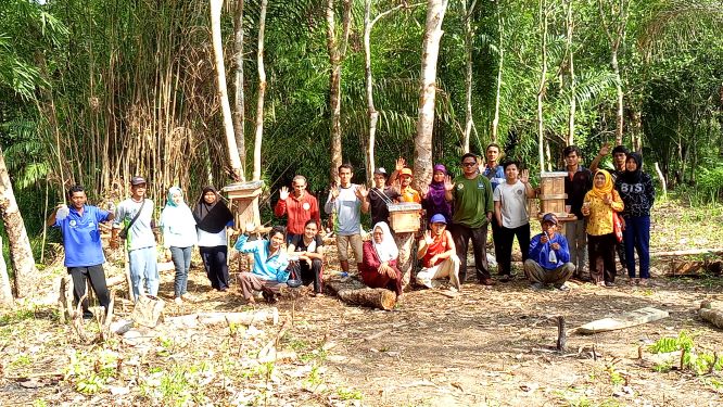 Contoh Soal Petugas Ukur Kawasan Hutan PPPK & CPNS