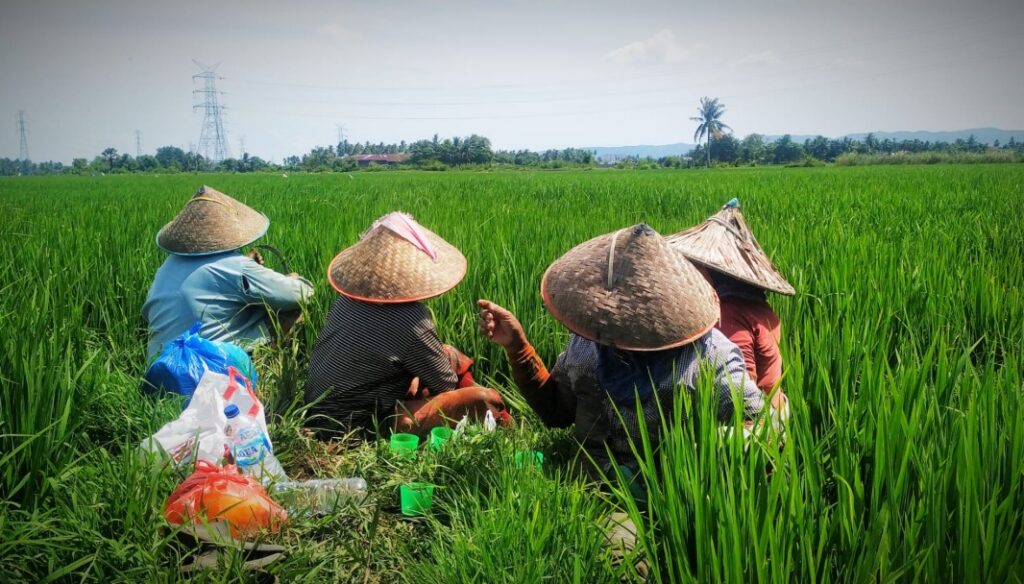 Kisi-Kisi Soal Uji Kompetensi Analis Sarana dan Prasarana Pertanian