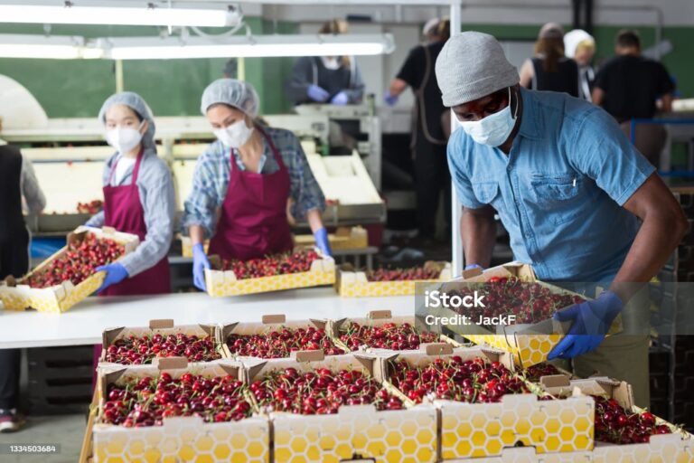 Food Handler