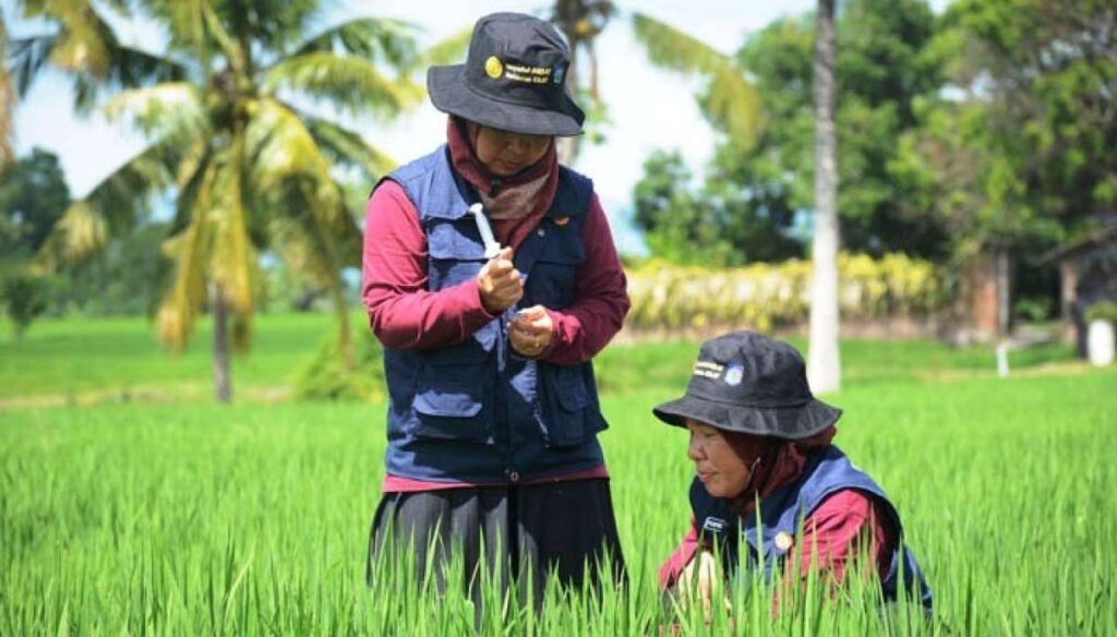 Uji Kompetensi Penyuluh Pertanian